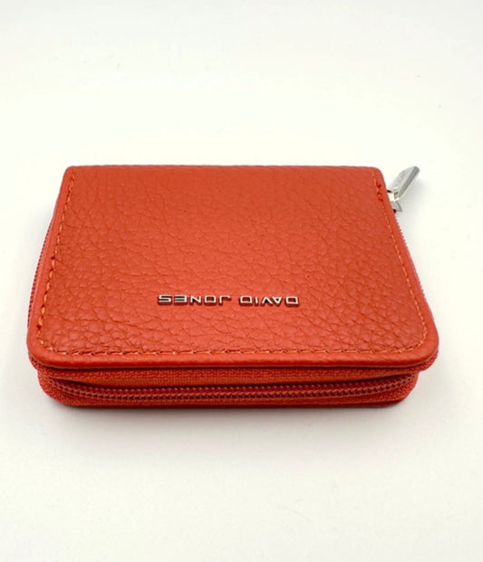 David Jones Small Zip Around Purse