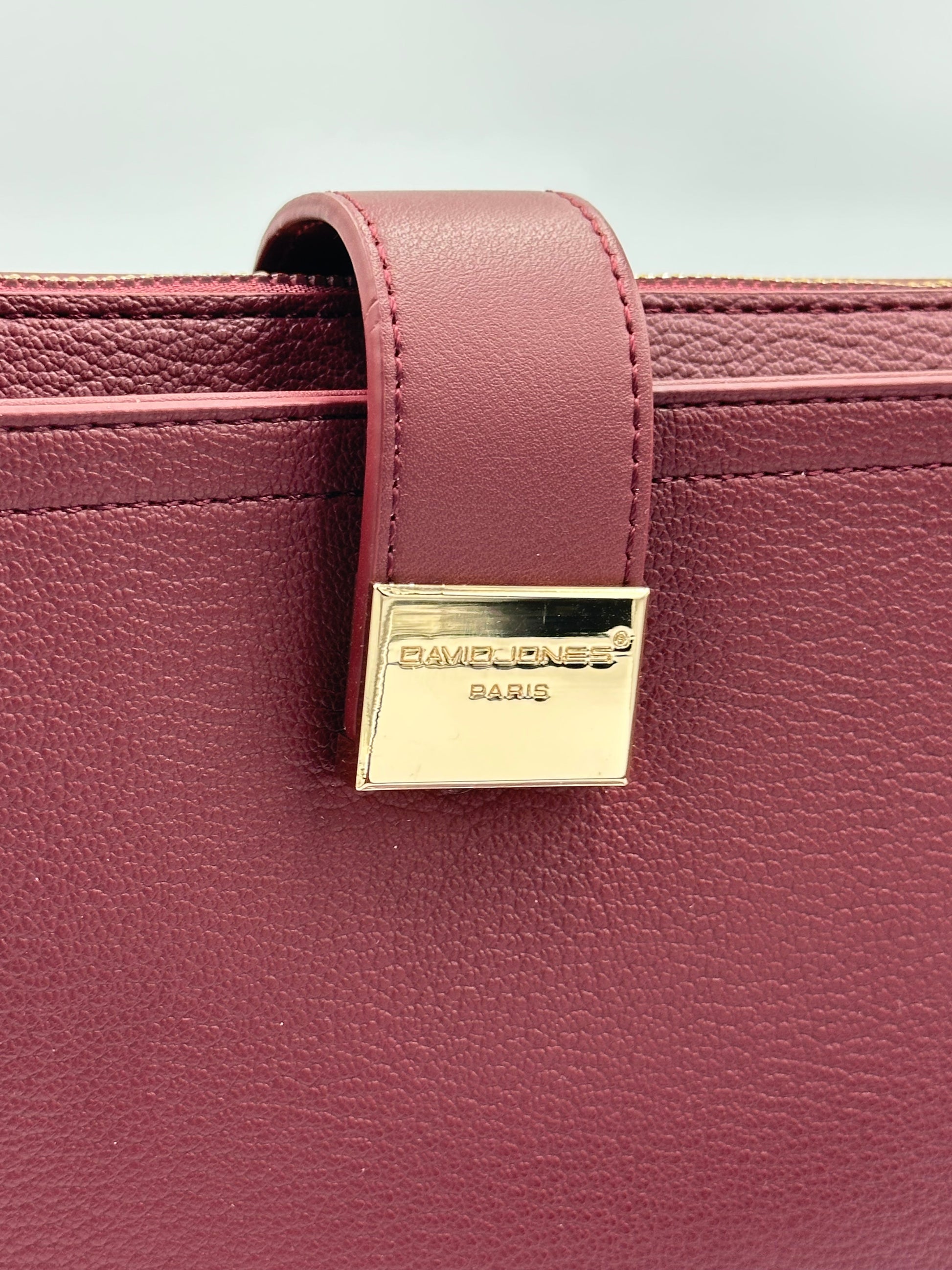 Soirose David Jones Women’s Windsor Wine Crossbody Handbag – Stylish Everyday Fashion Bag (SM7437A)
