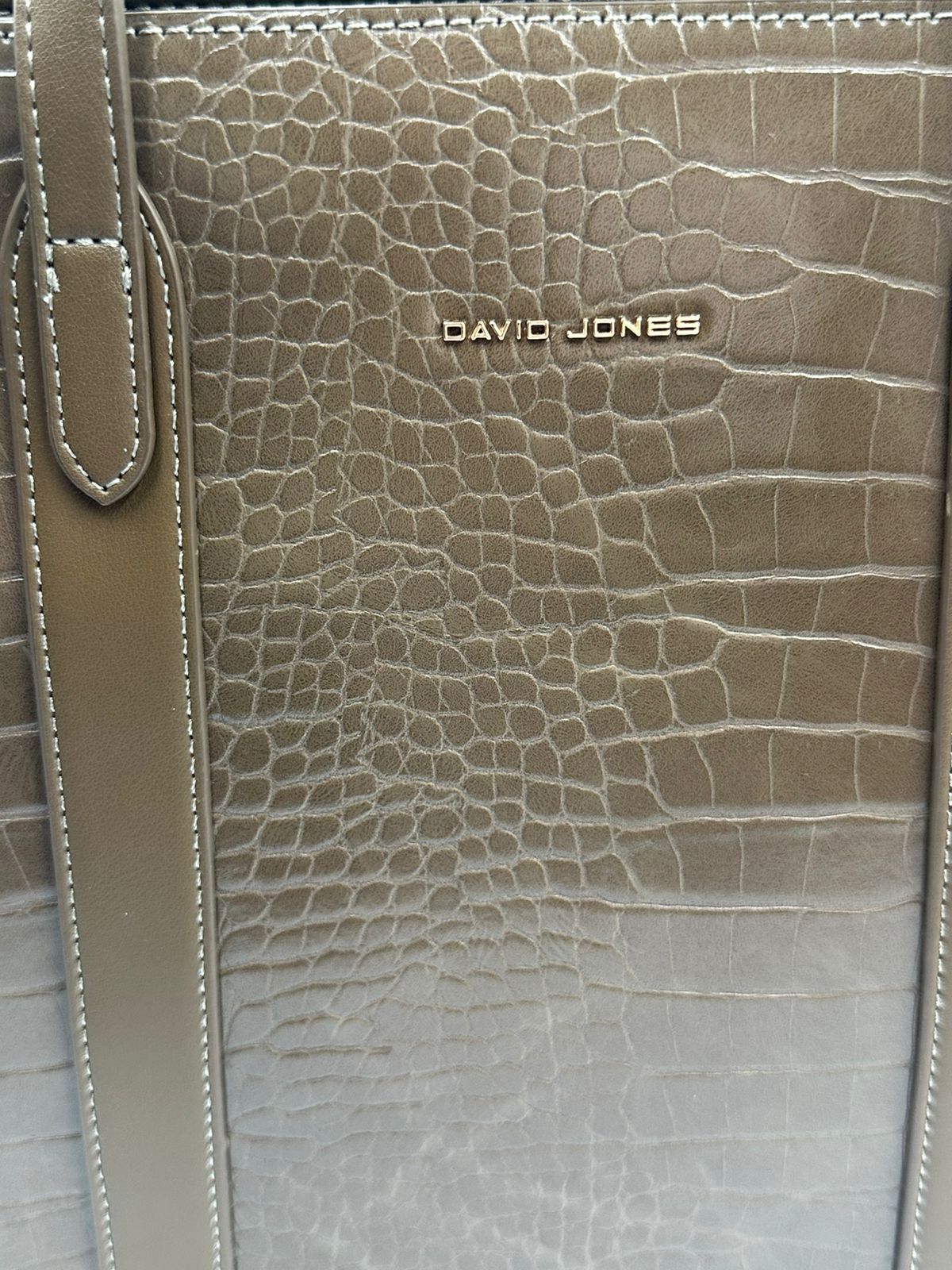 Soirose David Jones Warm Taupe Croc-Embossed Tote Bag